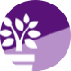 design-icon